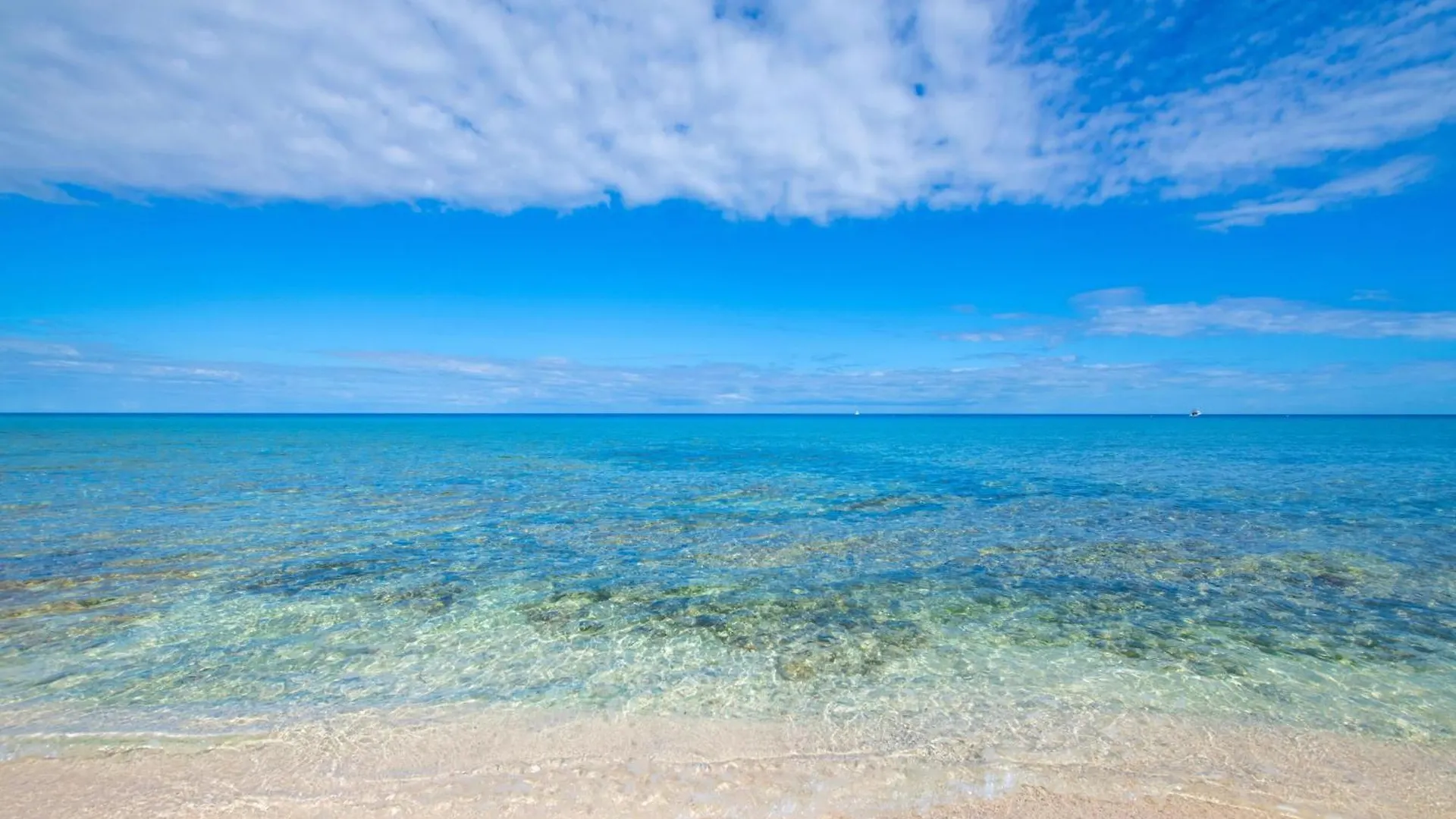 Silver Reef 2 Oceanfront Condo North Side Holiday home